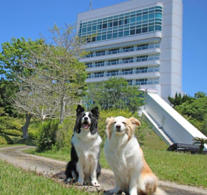 Nanki Shirahama Dog Paradise